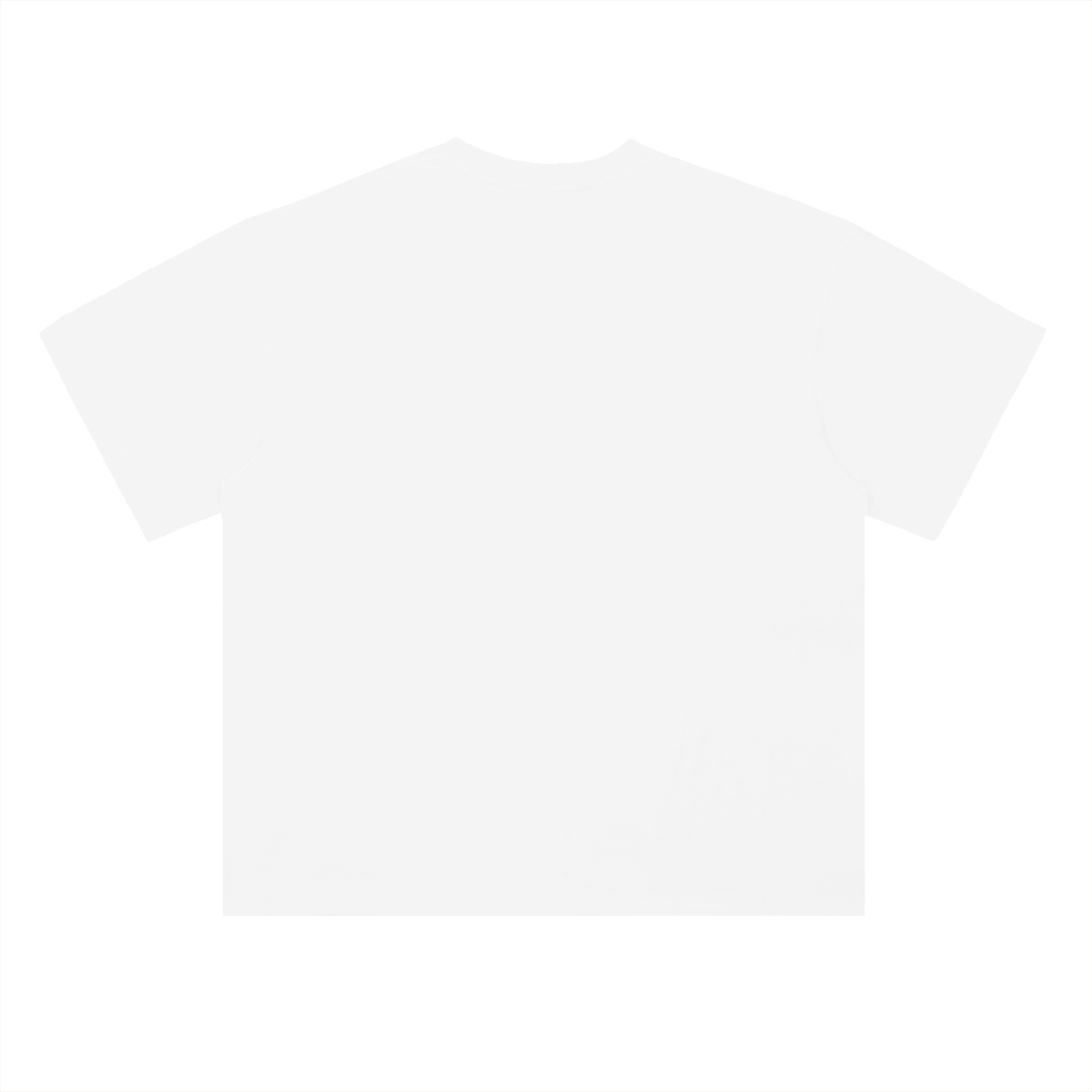 Beach High School Bulldogs x CPort Flex Heavyweight Drop Shoulder T-Shirt

(ALL WHITE)